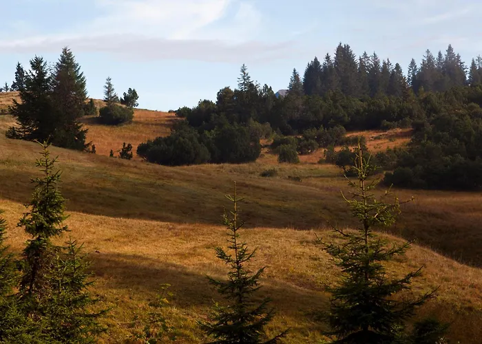 Arvenbueel Hotel Amden