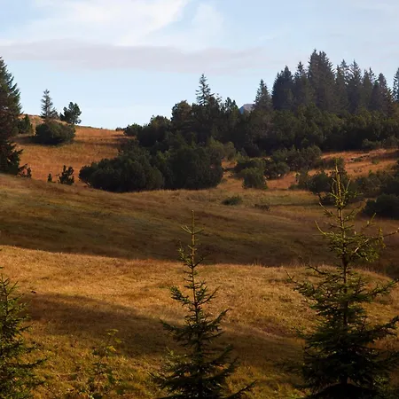 Arvenbueel Hotel Amden